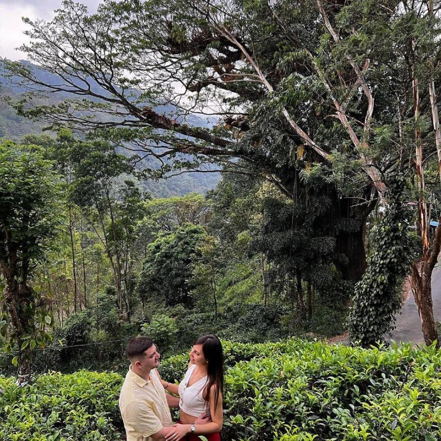 Tea Cottage Resort & Spa Nawalapitiya Kültér fotó