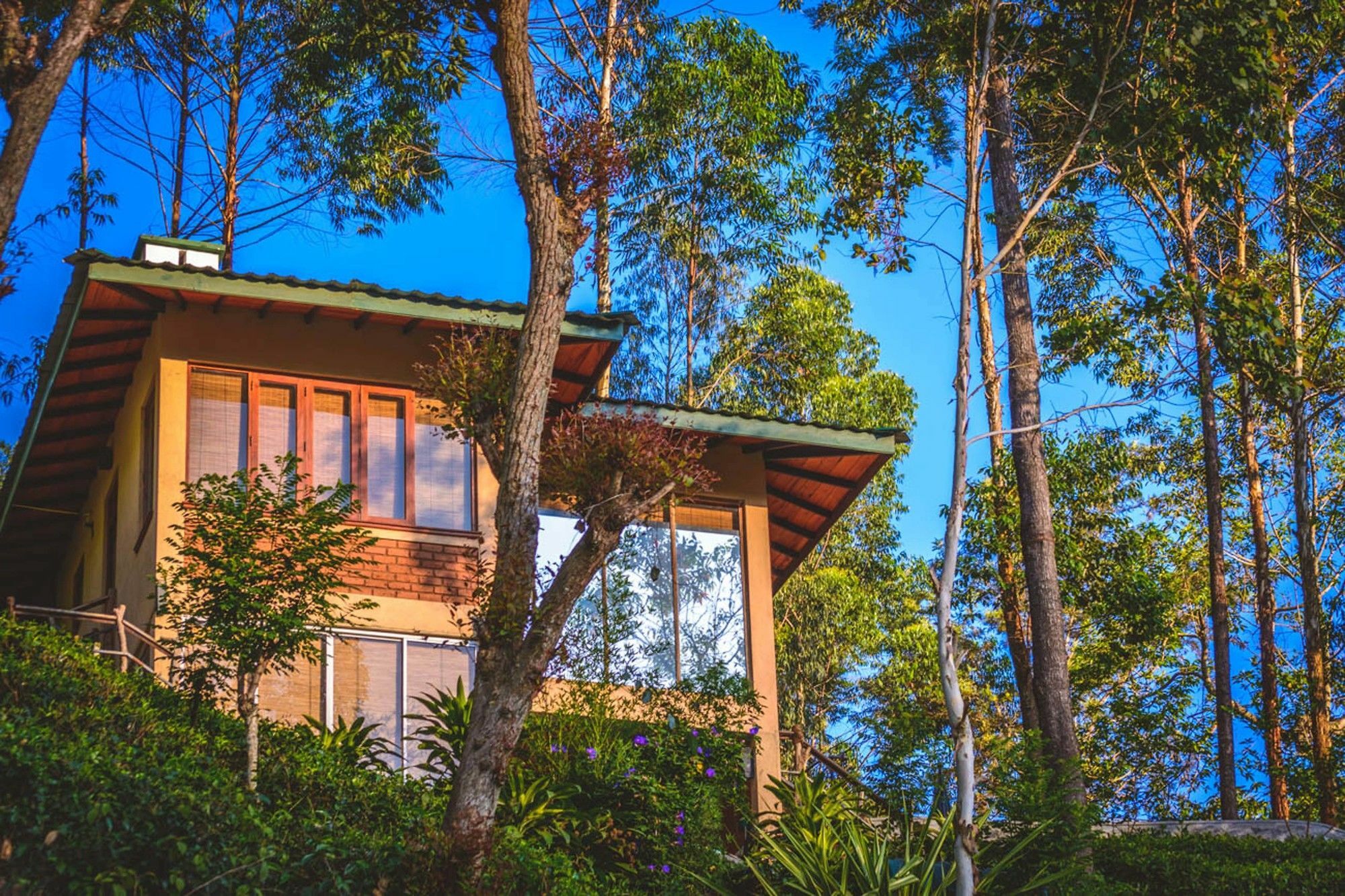 Tea Cottage Resort & Spa Nawalapitiya Kültér fotó